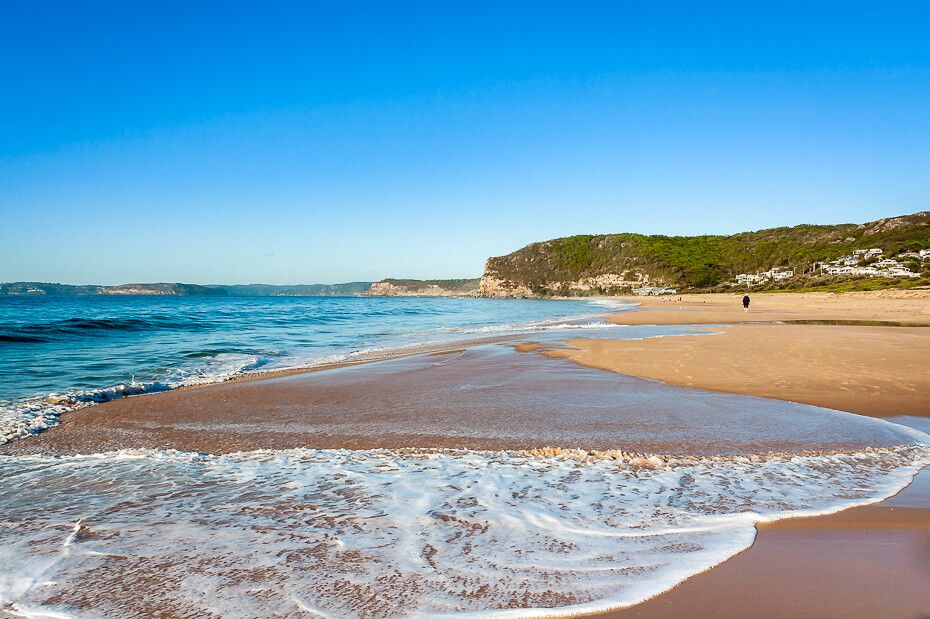 Camping Central Coast Dog Friendly Camping Central Coast Dog Friendly