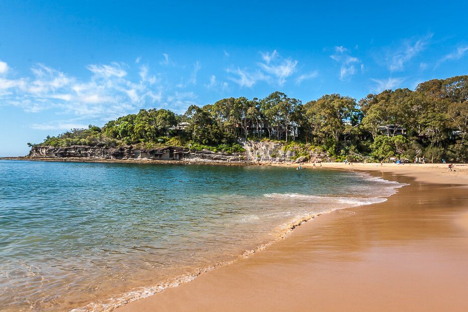 Dog Friendly Beaches Palm Beach Nsw Dog Friendly Beaches Palm Beach Nsw