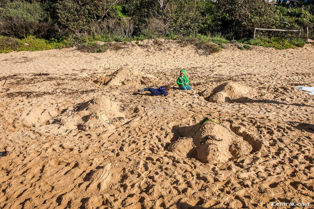 Sand sculptures: Turtles