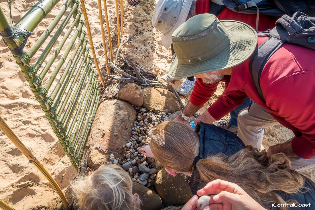 Taking a pebble of possibility