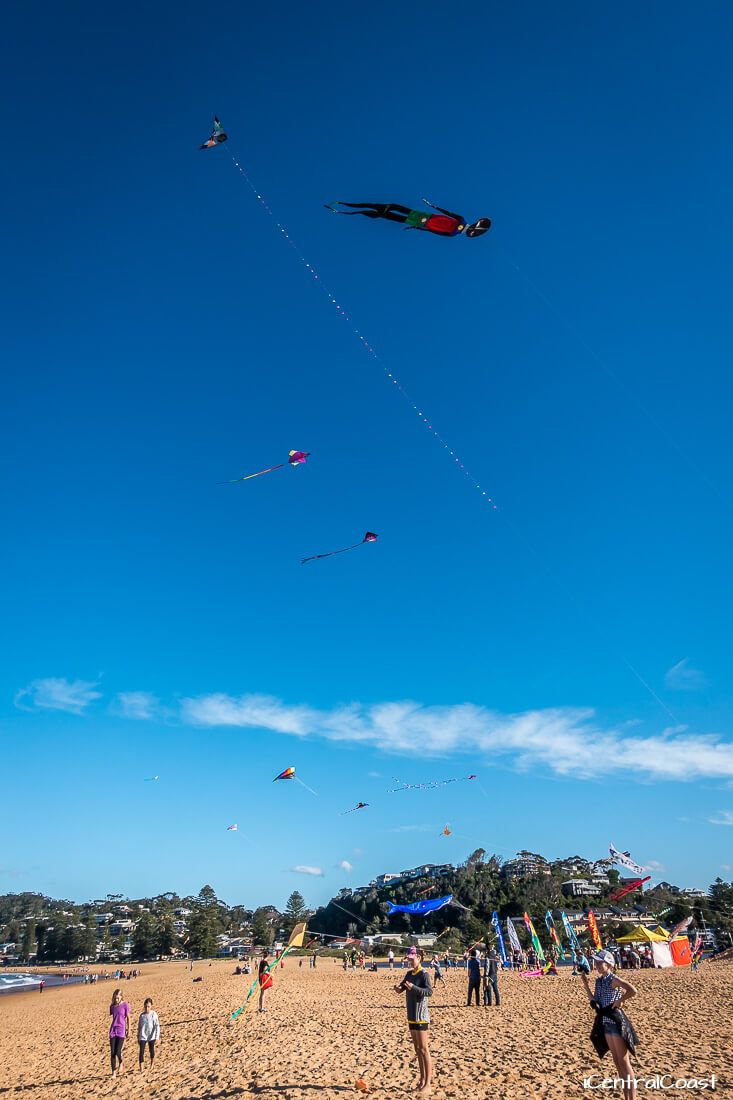 Flying kites at North Avoca Beach