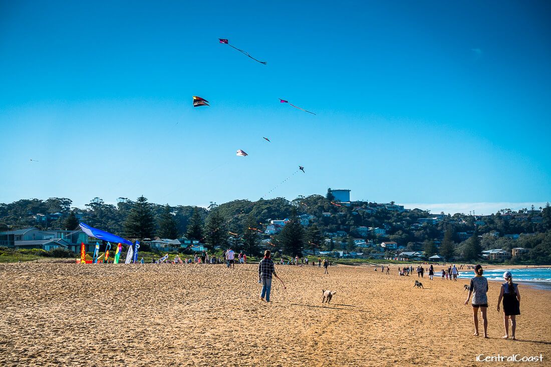 Flying kites at North Avoca Beach