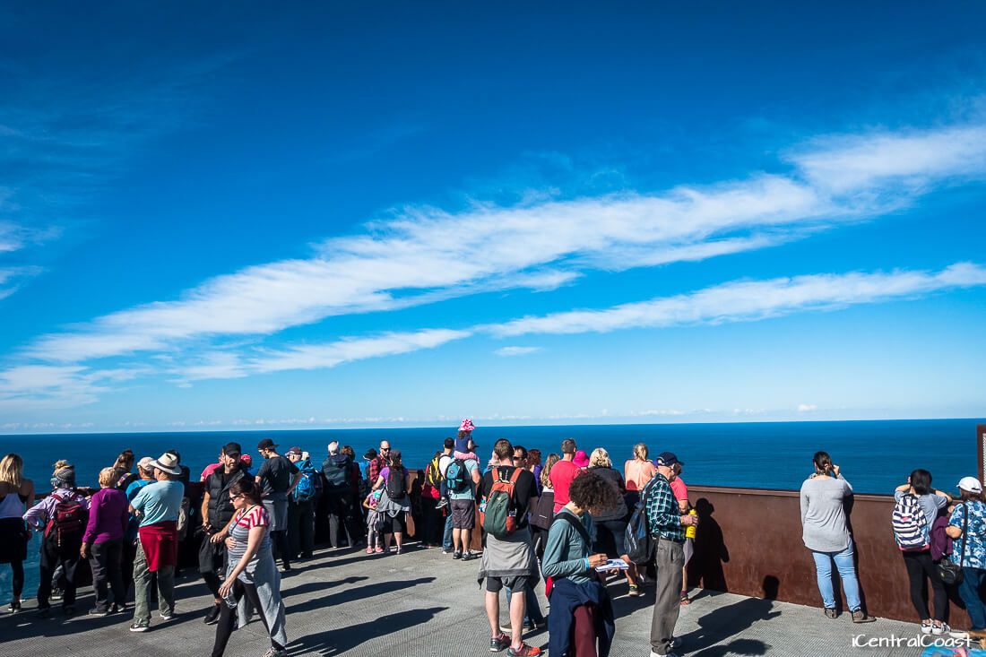 Looking for whales at Captain Cook Lookout