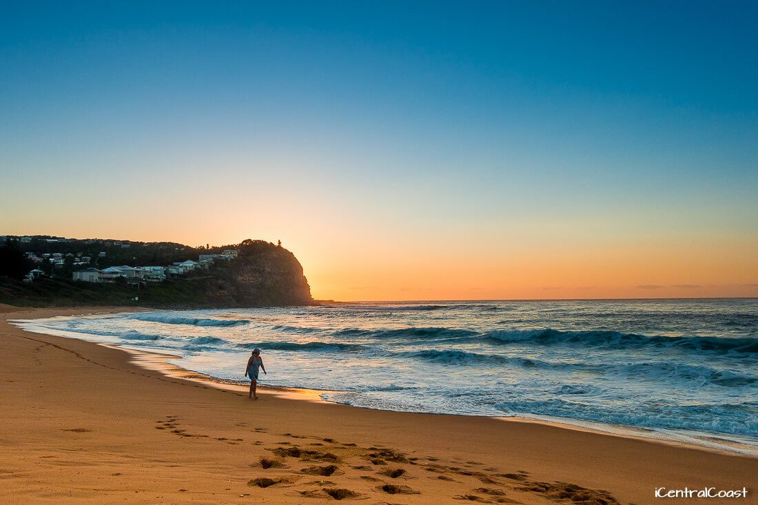 Dog Friendly Beaches Central Coast Dog Friendly Beaches Central Coast