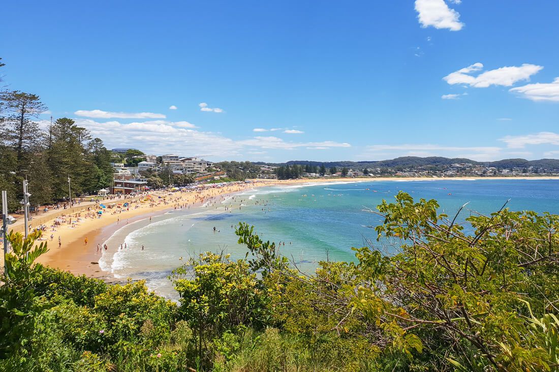 Terrigal Beach Swimming