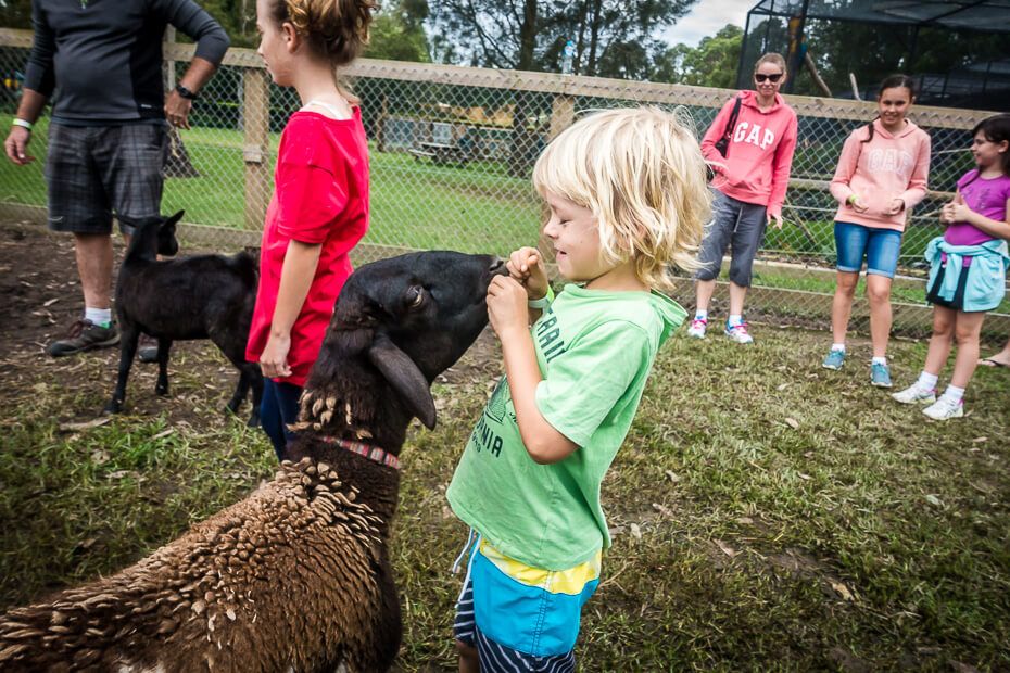 Amazement Farm & Fun Park Feeding a goat
