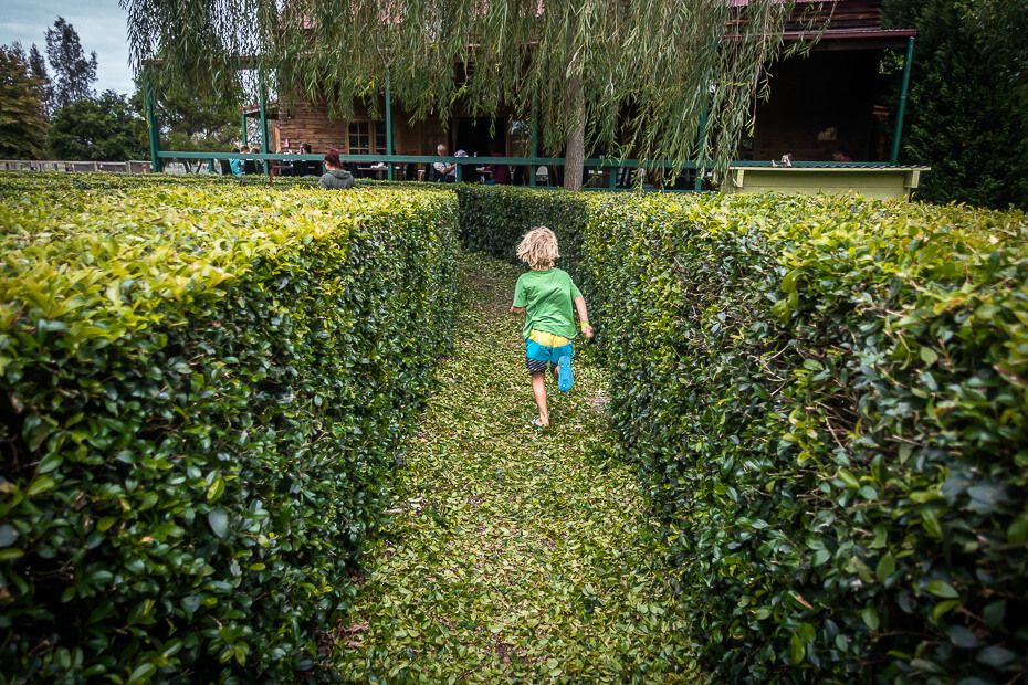 Amazement Farm & Fun Park Hedges maze at Amazement Farm & Fun Park