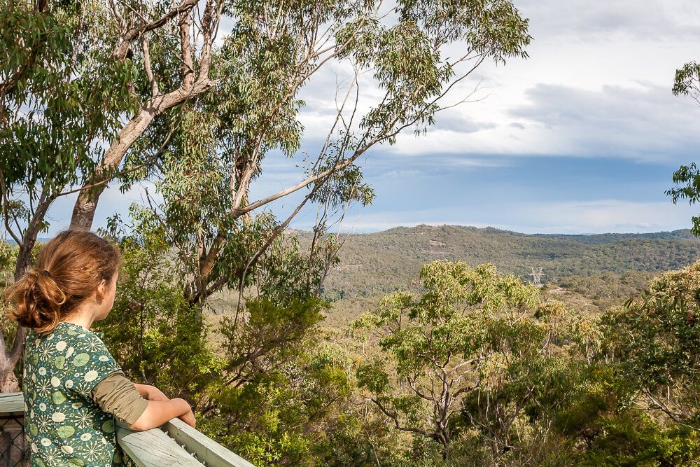 Australia Walkabout Wildlife Park Mt White lookout - Australia Walkabout Wildlife Park