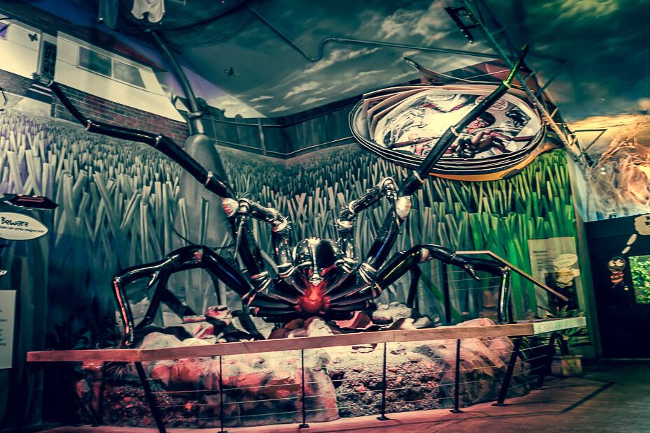 The Australian Reptile Park (Insider's Guide) - iCentralCoast