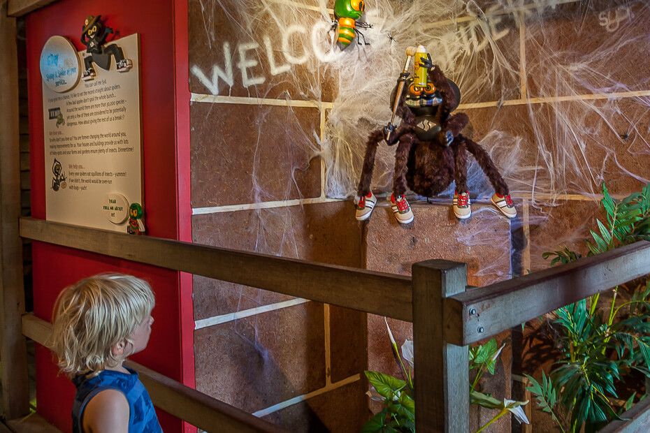 The Australian Reptile Park (Insider's Guide) iCentralCoast