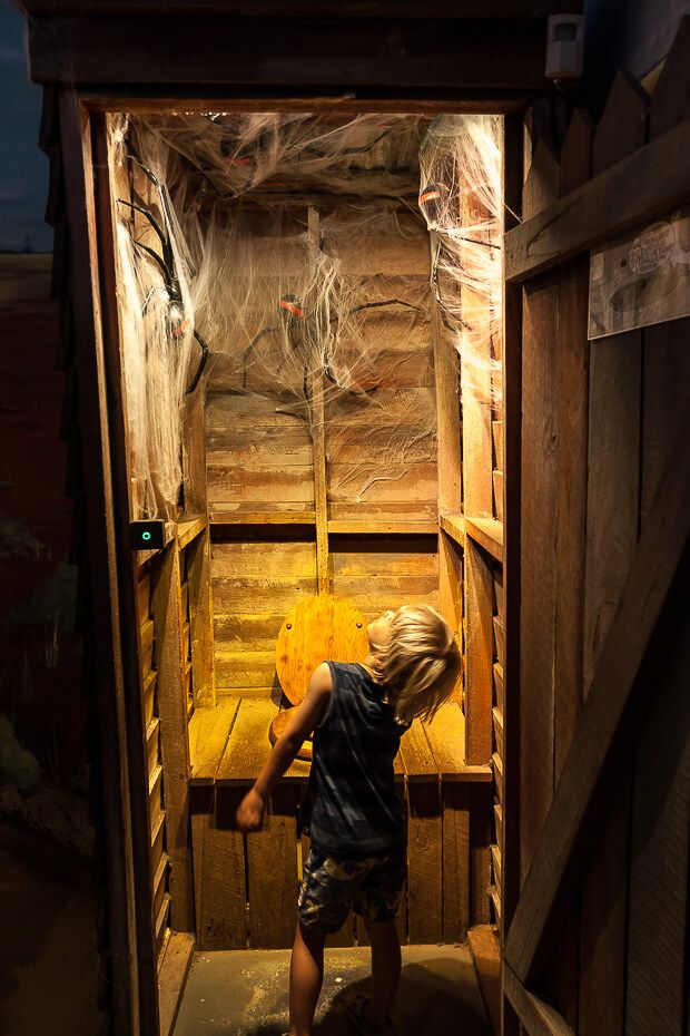 toilet in spider world