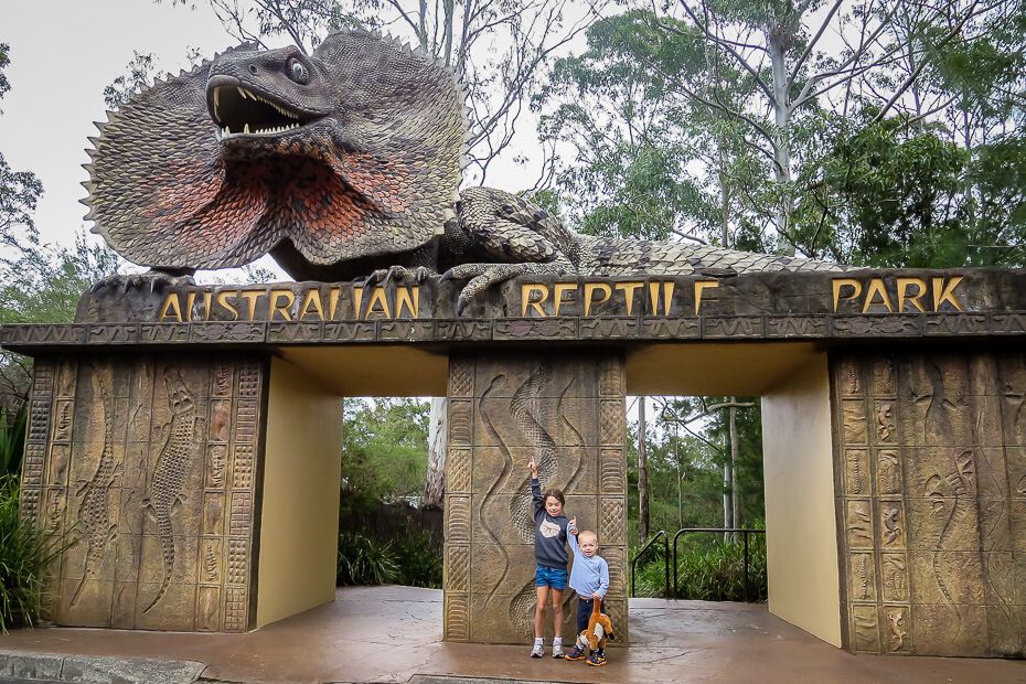 Read this local's guide to the Australian Reptile Park, a must-see attraction on the Central Coast Australia. 