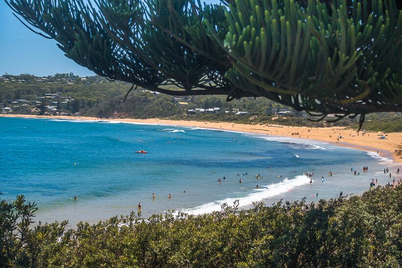 16 Top Things to Do in Avoca Beach iCentralCoast
