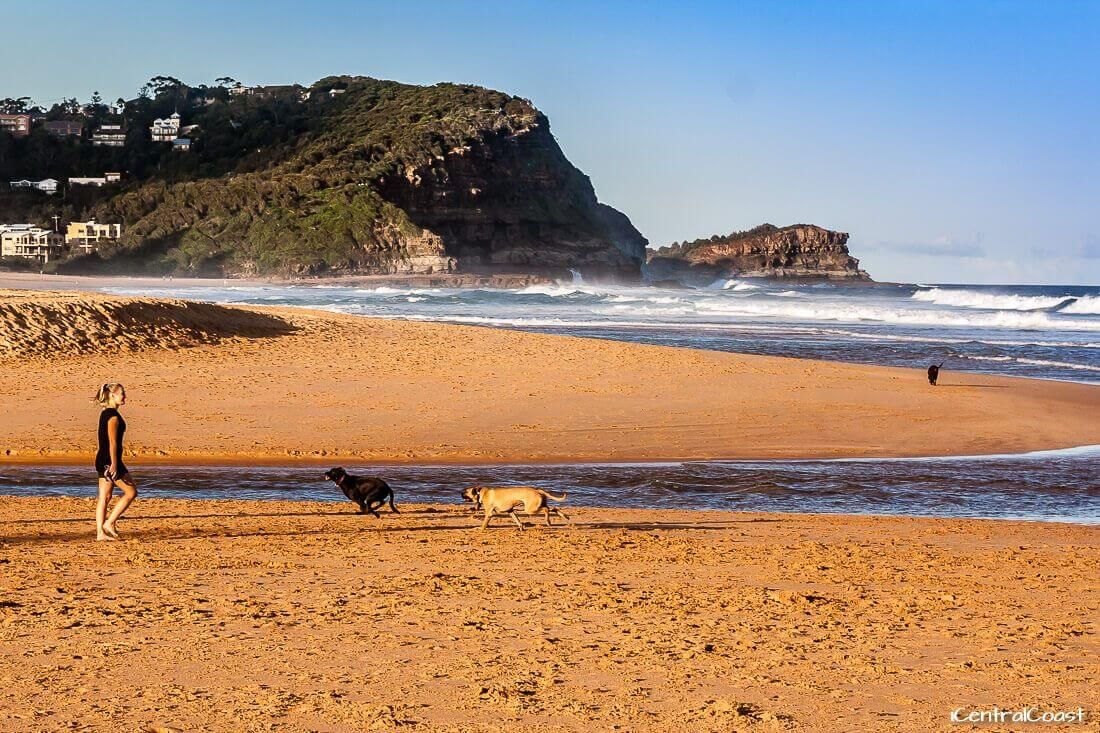 Avoca Beach – iCentralCoast