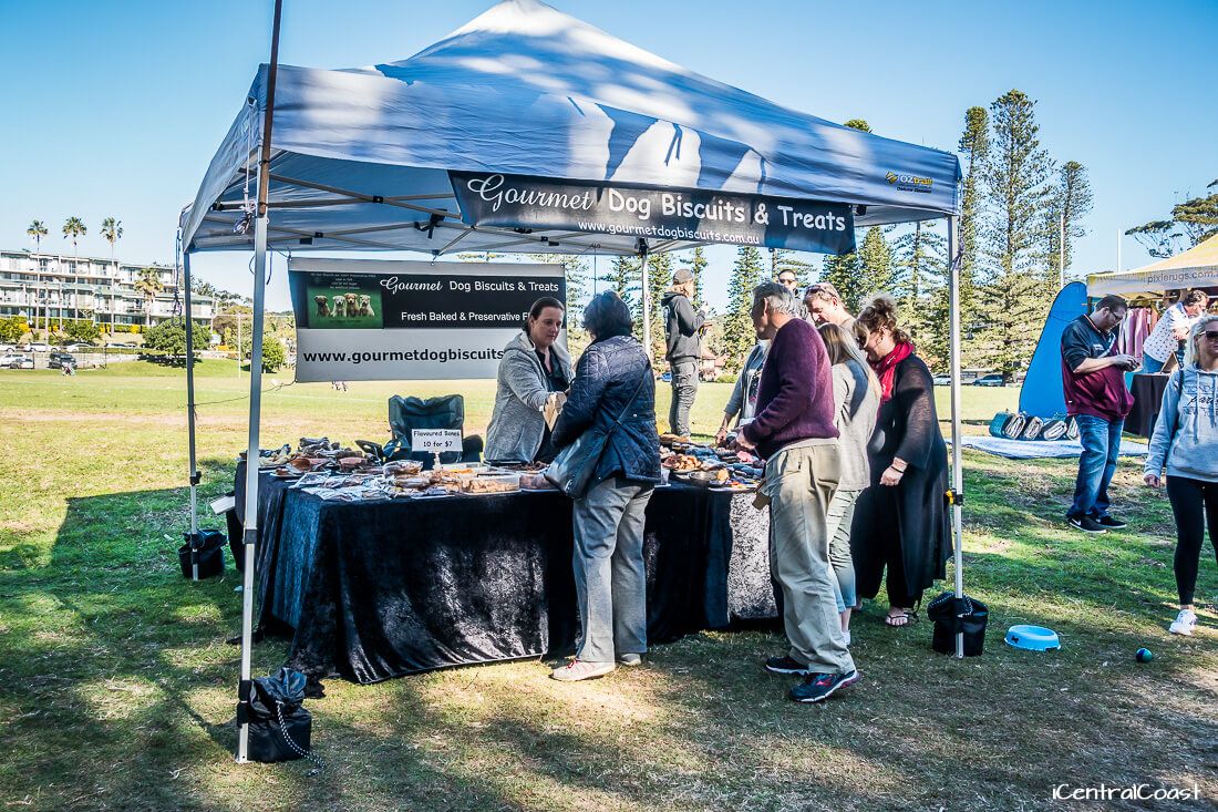 Gourmet Dog Biscuits and Treats Markets