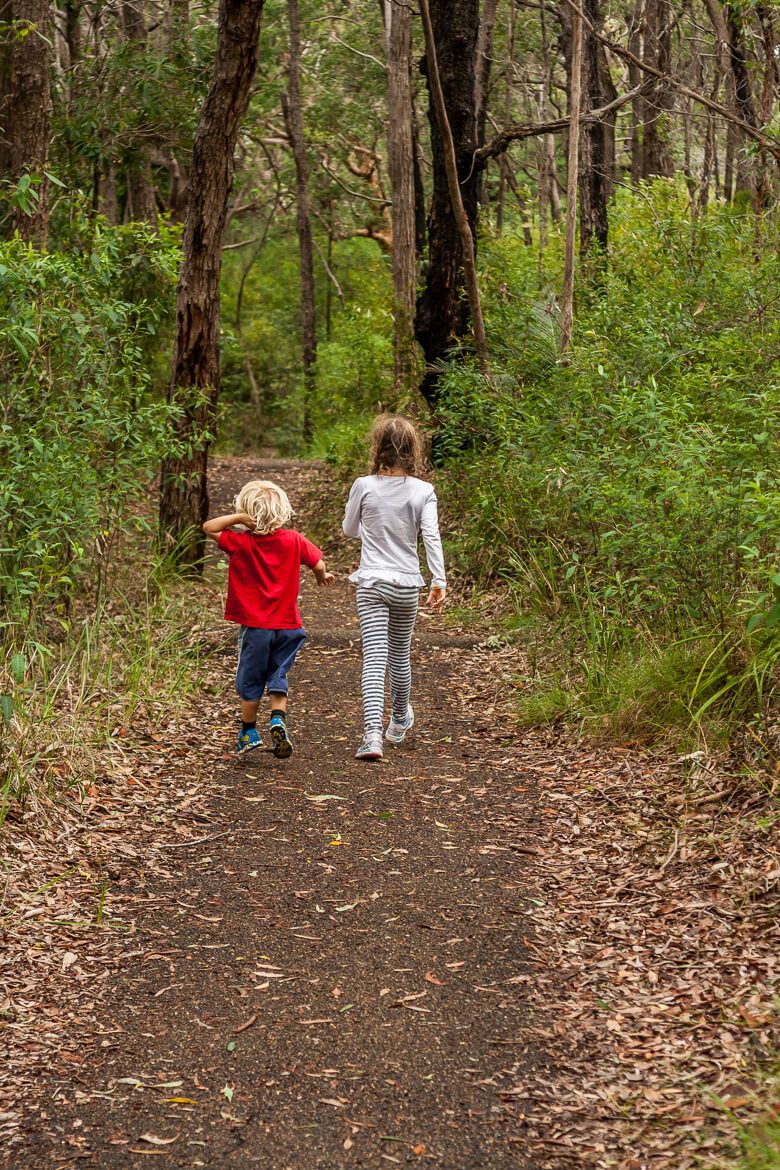 Top 10 Walks in Bouddi National Park iCentralCoast