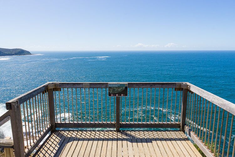 whale-watching-central-coast-gerrin-point-lookout