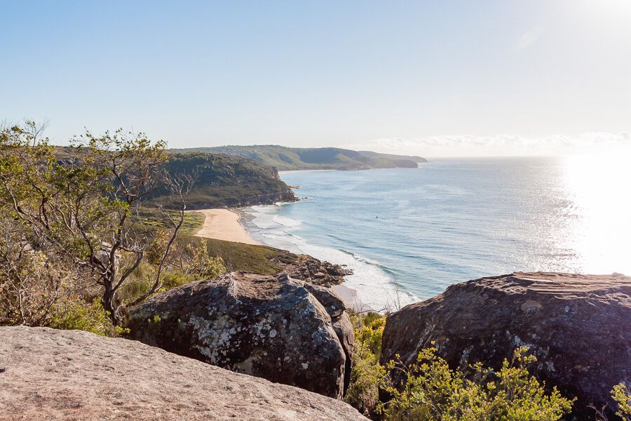 Bouddi National Park Walks – Box Head Walking Track