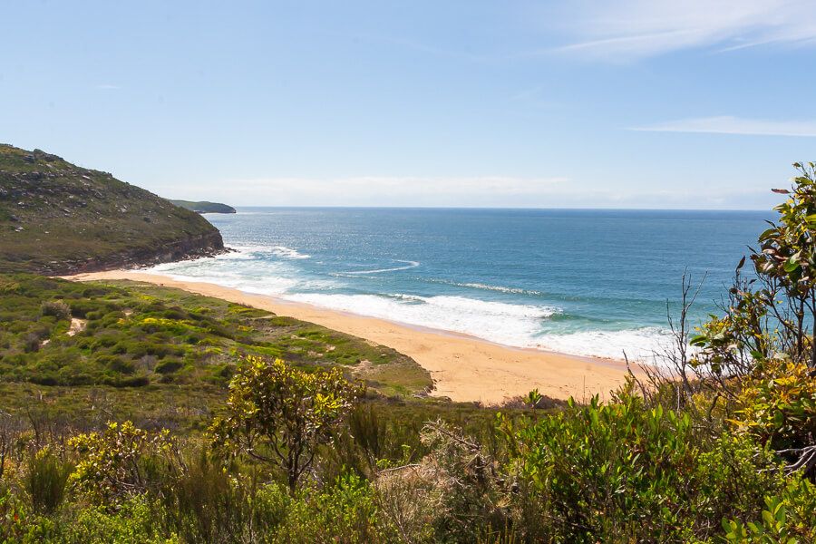 Bouddi National Park Walks – Tallow Beach Trail
