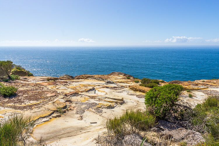whale-watching-central-coast-bouddi-national-park-side-trails whale-watching-central-coast-bouddi-national-park-side-trails