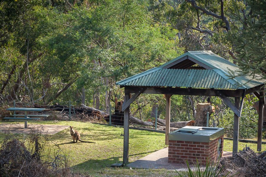 Piles Creek loop - Girrakool Picnic Area
