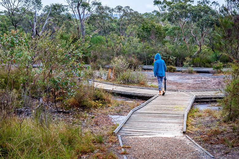 Boardwalk surrounds the sandstone rock surface with Bulgandry Aboriginal art.