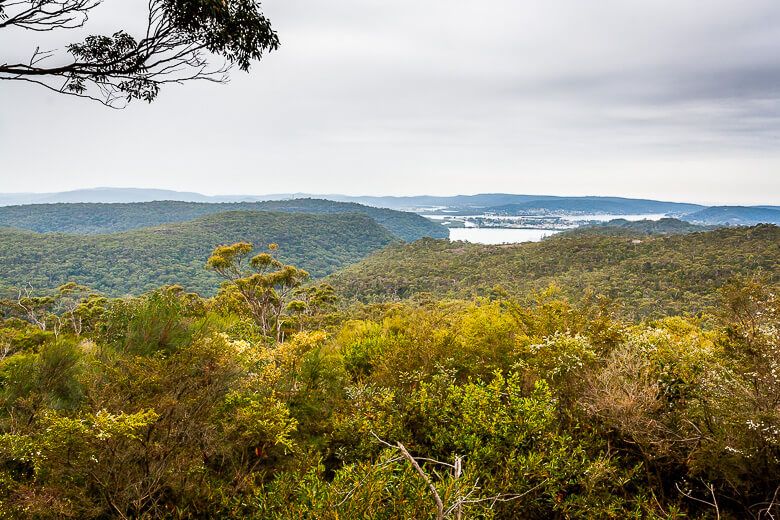 View of Brisbane Water and bush from Staples Lookout.