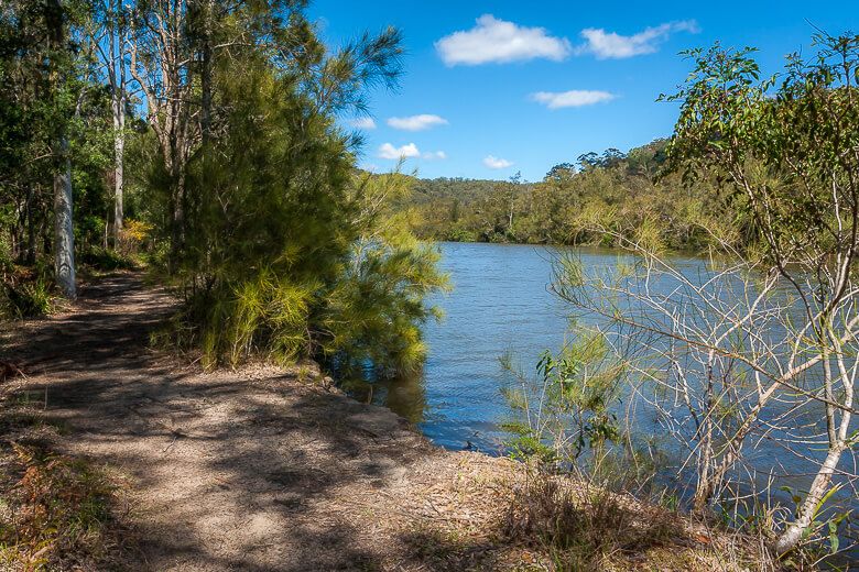 Mooney Mooney Creek, Mooney Mooney nature walk