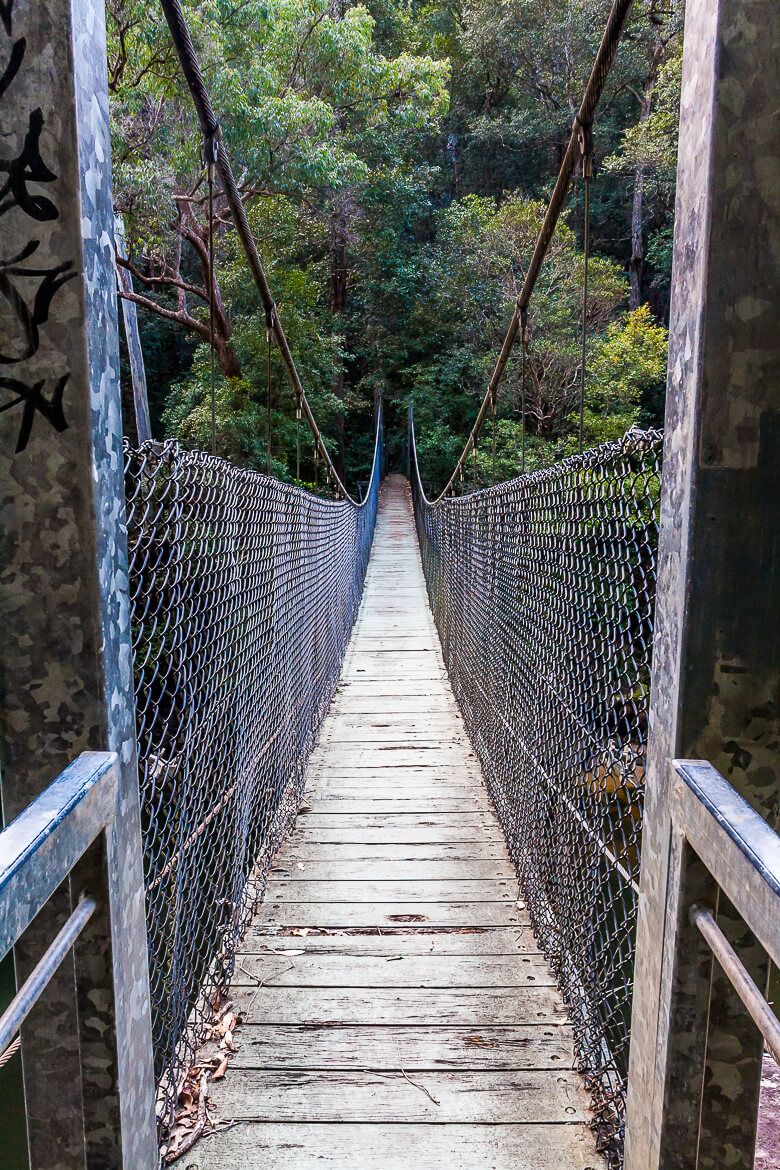 Phil Houghton suspended Bridge