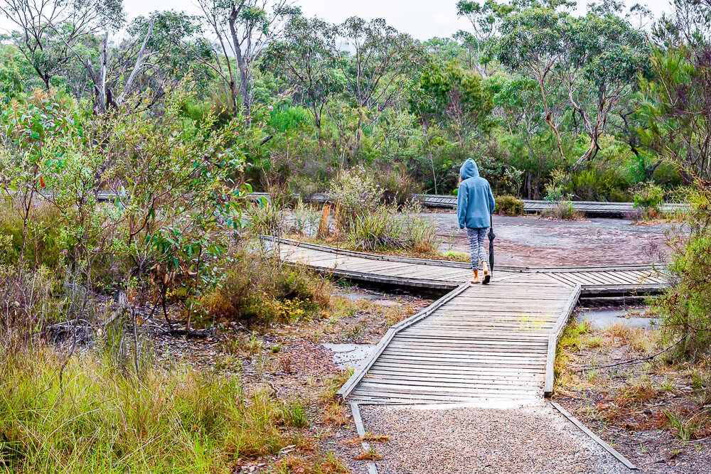 Boardwalk surrounding Bulgandry Aboriginal engraving site.