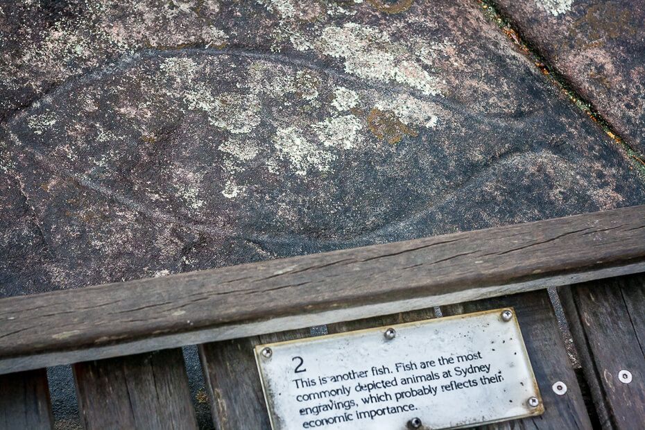 Aboriginal engraving of a fish