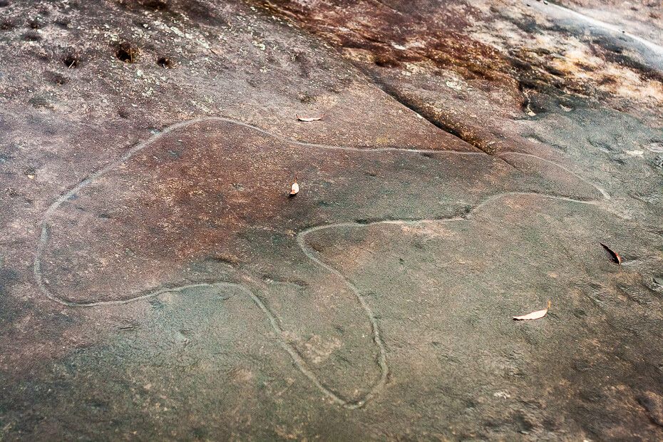 Aboriginal engraving of a fish.