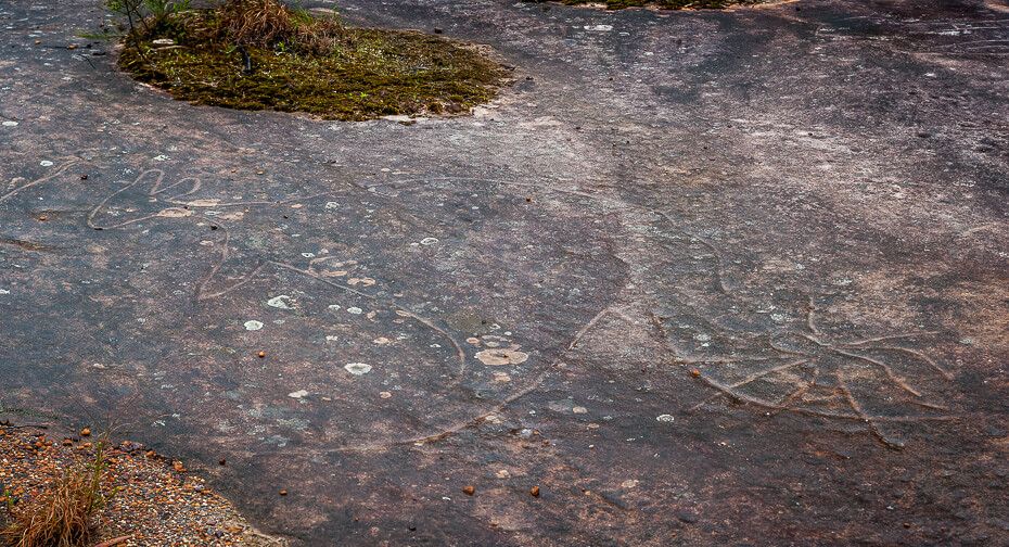 Aboriginal engraving of a kangaroo with an octopus on its tail.