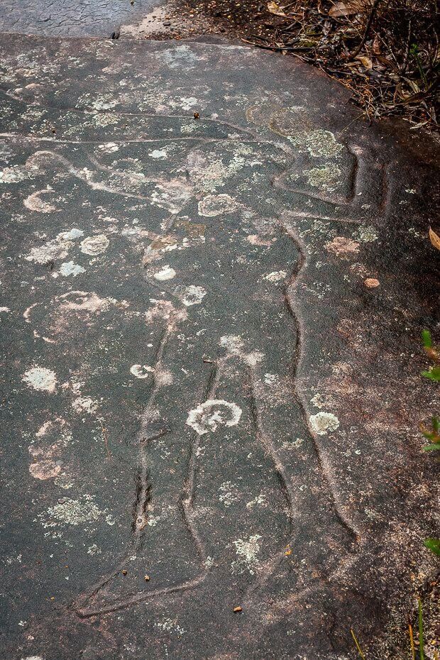 Aboriginal engraving of a person