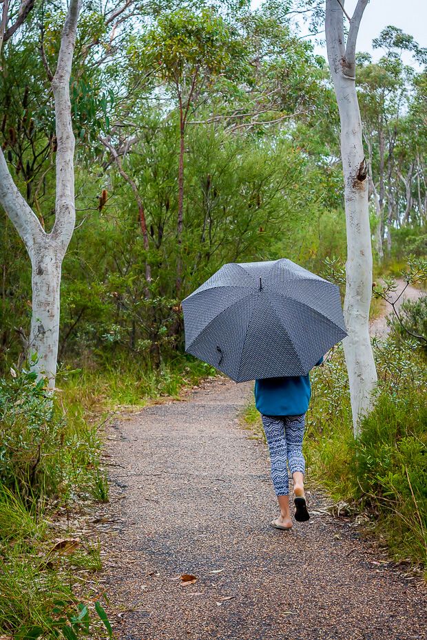 Bulgandry Aboriginal art site footpath