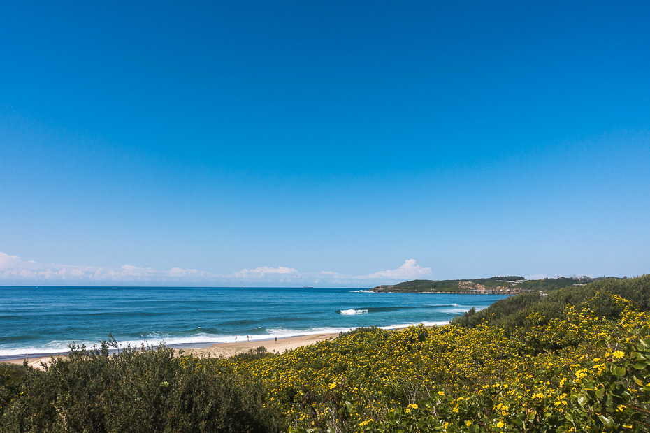 View of the southern side of the beach from the bluff View of the southern side of the beach from the bluff