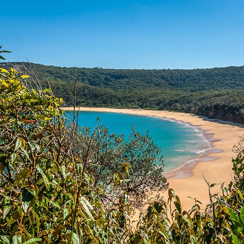 Central Coast NSW Australia The Ultimate Guide for Your Holiday