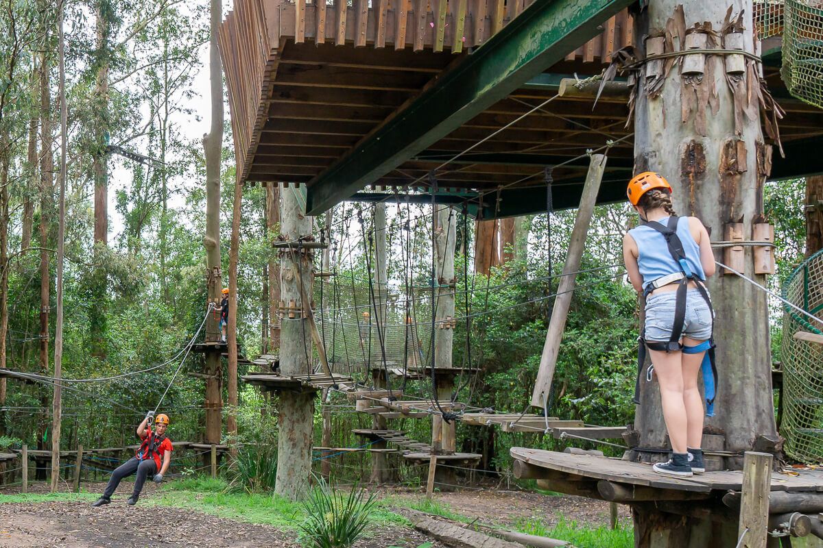Central Coast Attractions - Treetops