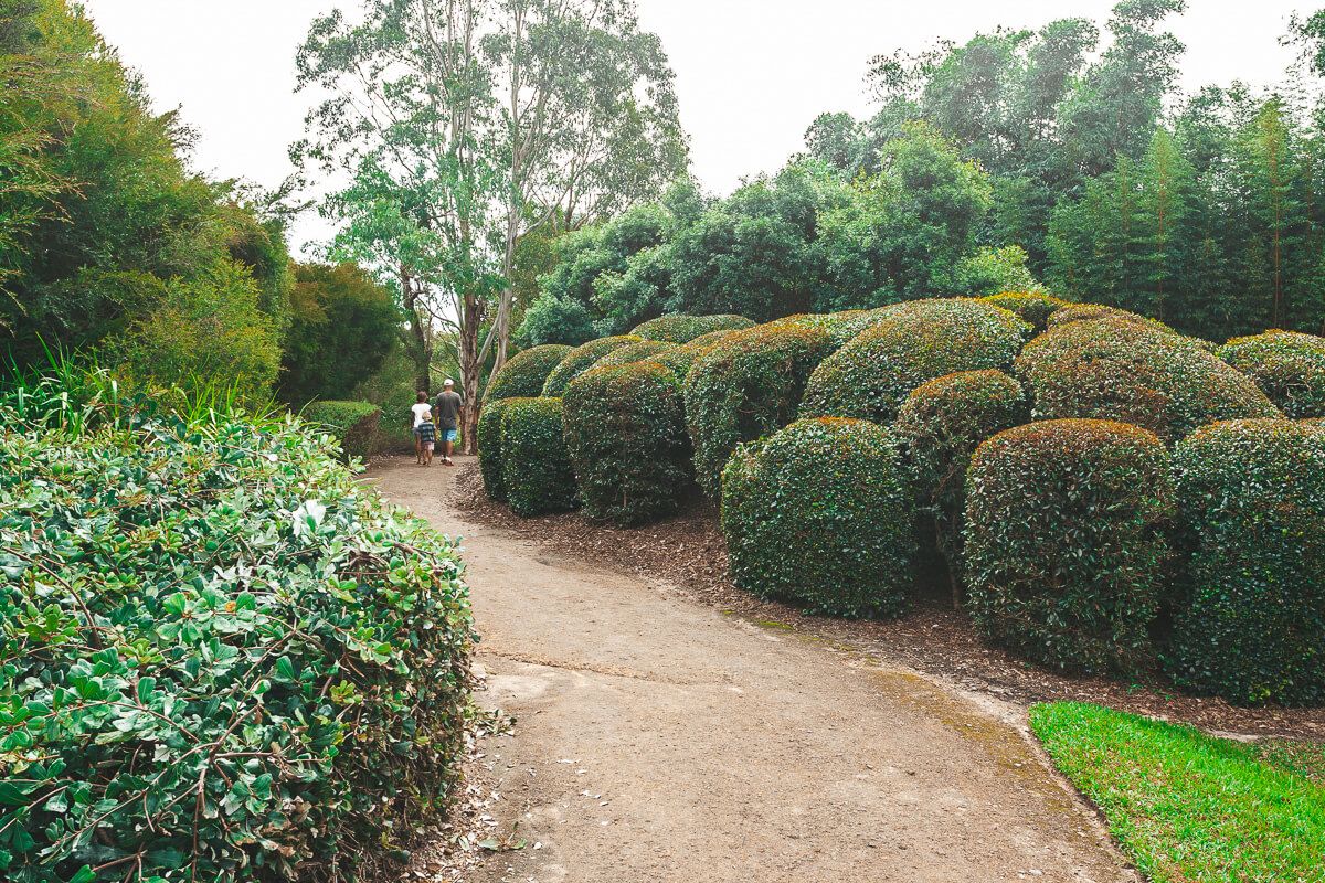 Central Coast Attractions - Mount Penang Garden Central Coast Attractions - Mount Penang Garden