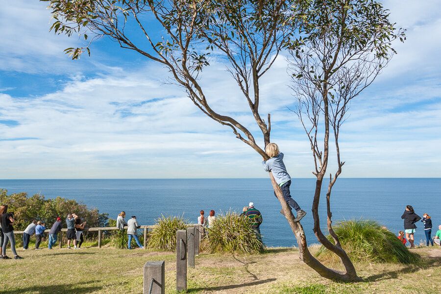 Bateau Bay - Crackneck Lookout Central Coast Bateau Bay - Crackneck Lookout