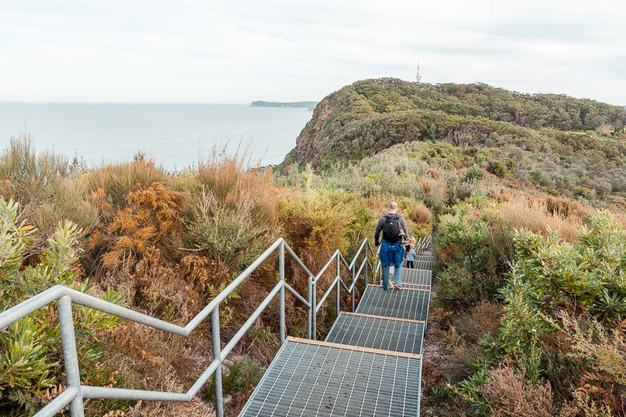 Bateau Bay - The Coast Walking Track Central Coast Bateau Bay - The Coast Walking track in Wyrrabalong National Park.