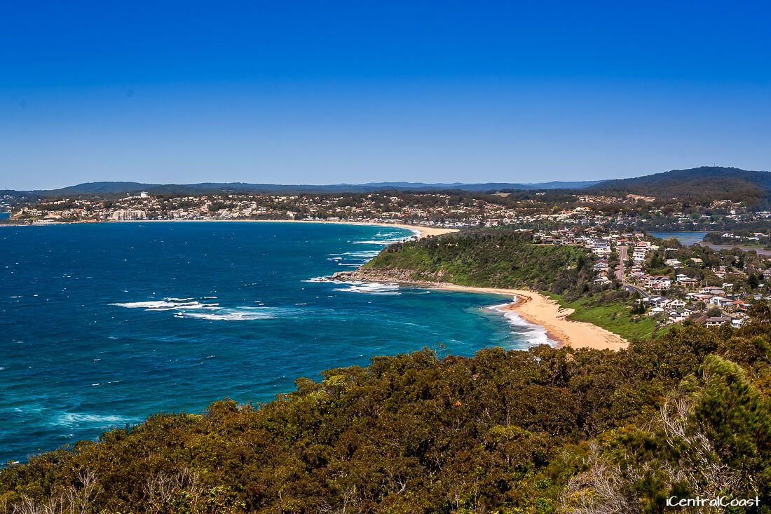 Forresters Beach Dog Friendly Forresters Beach Dog Friendly