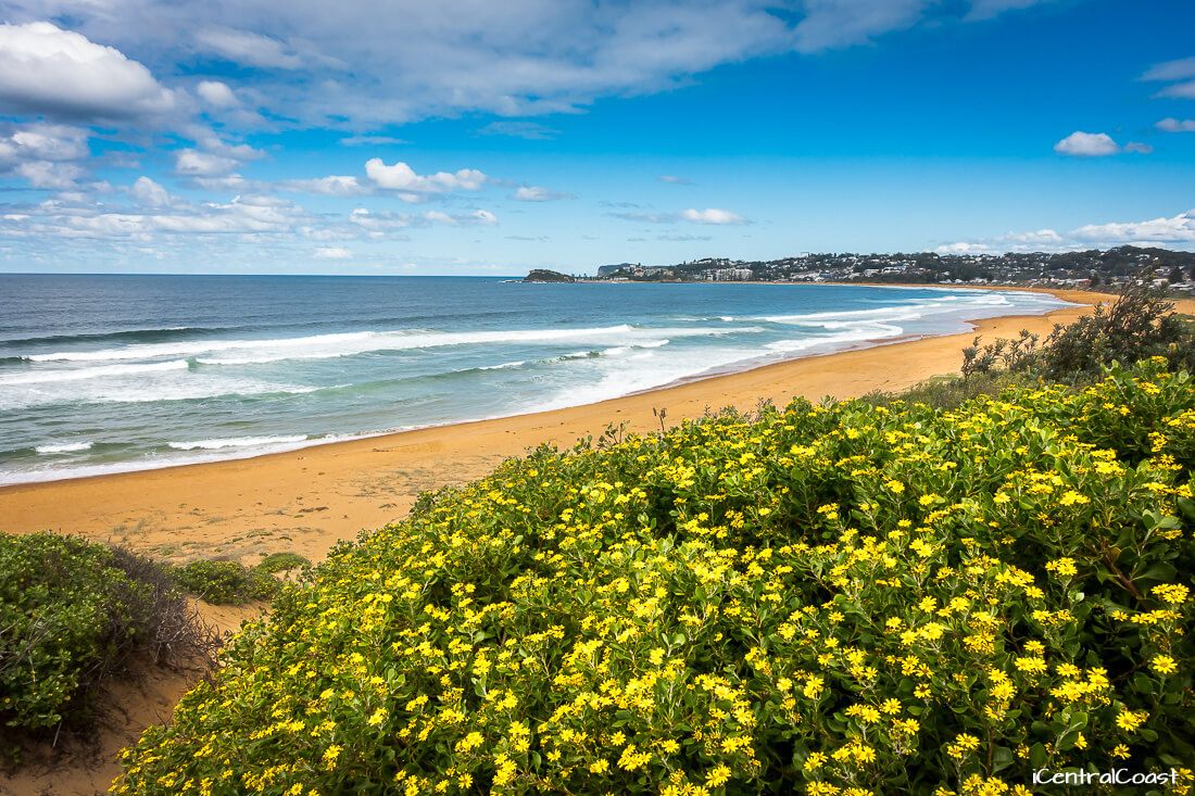 Best Cafes Central Coast Best Cafes Central Coast