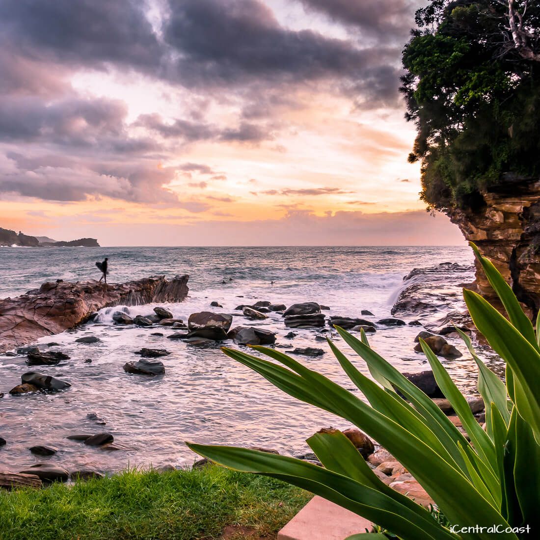 Central Coast NSW The Ultimate Guide for Your Holiday