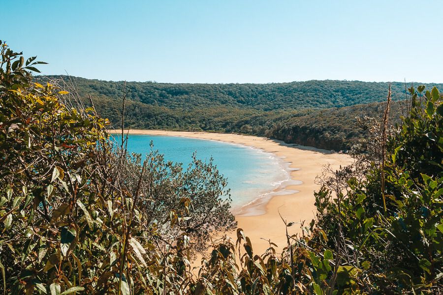Central Coast Walks - Maitland Bay Track