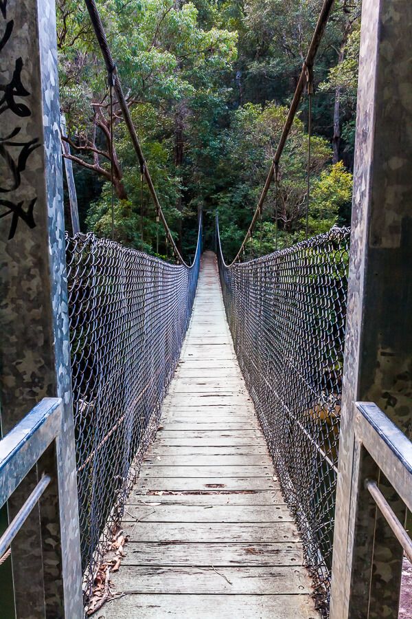 Central Coast Walks - Piles Creek Loop