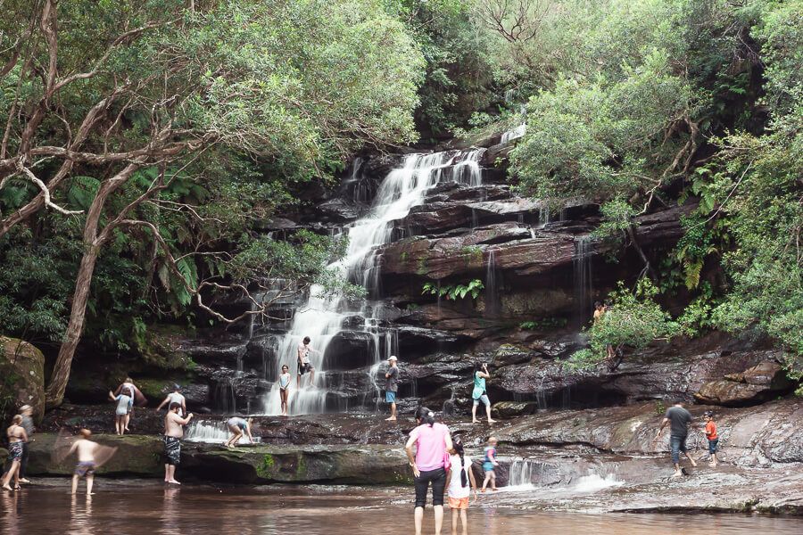 Central Coast Walks - Somersby Falls