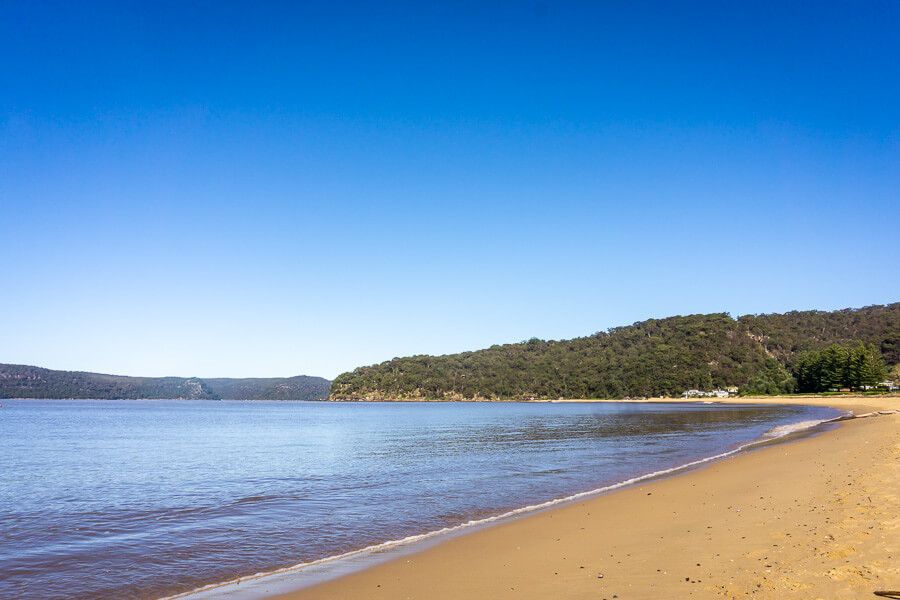 10 Best DogFriendly Beaches on the Central Coast iCentralCoast
