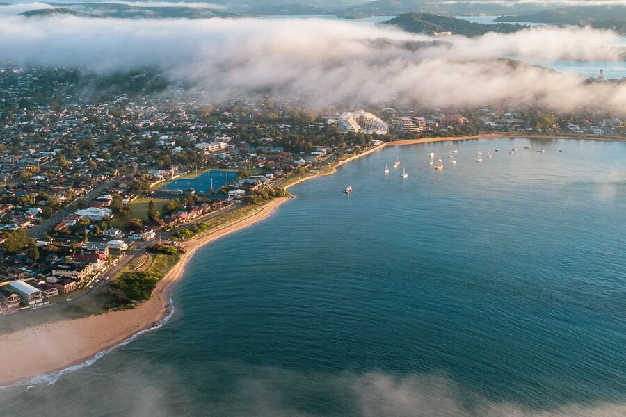 10 Best DogFriendly Beaches on the Central Coast iCentralCoast