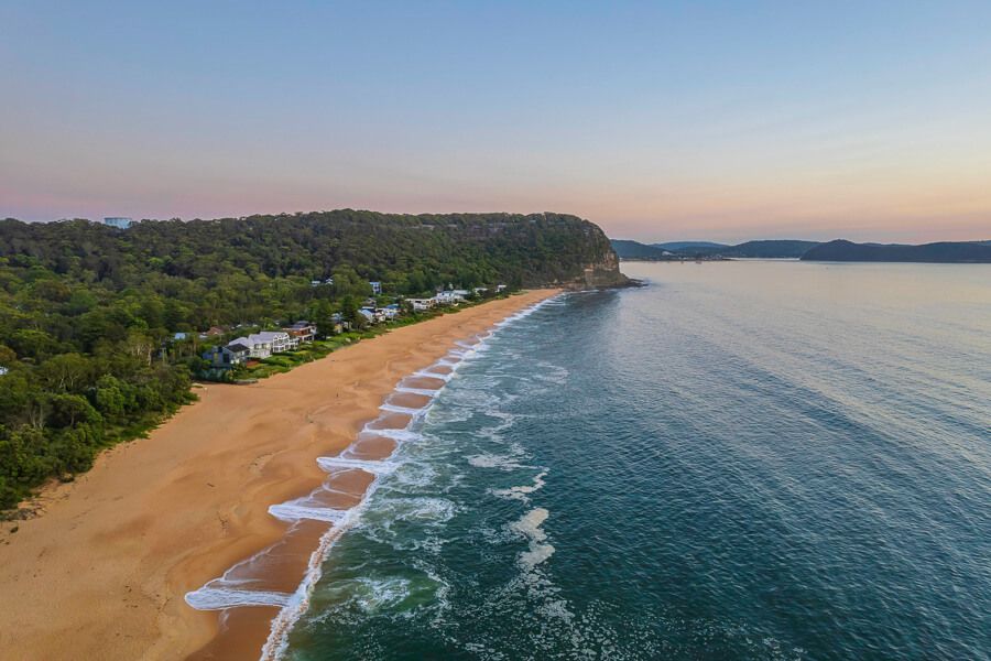 10 Best DogFriendly Beaches on the Central Coast iCentralCoast